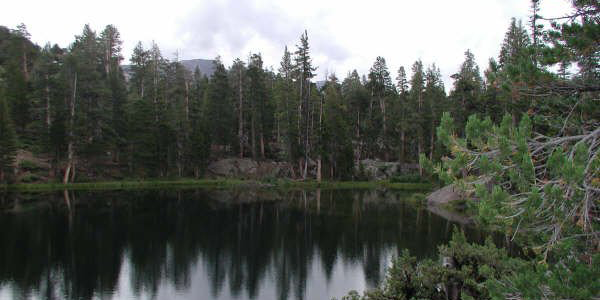 Meadow Trail Ride at Leavitt Meadows Pack Station in the Eastern Sierra back country near Bridgeport, CA